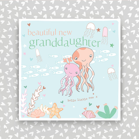 Beautiful New Granddaughter greeting card (FB235)